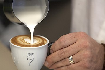 קפה Sandalj - Cappuccino Blend קפה Sandalj - Cappuccino Blend