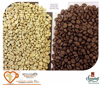 קפה ירוק קניה - Kenya AA Top Quality קפה ירוק קניה - Kenya AA Top Quality