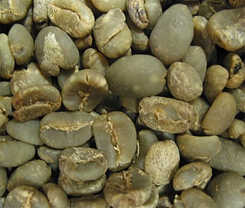 קפה ירוק סומטרה מנדלינג Sumatra Mandheling קפה ירוק סומטרה מנדלינג Sumatra Mandheling