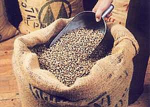 קפה ירוק נטול קפאין - Decaf Arabica Extra coffee קפה ירוק נטול קפאין - Decaf Arabica Extra coffee