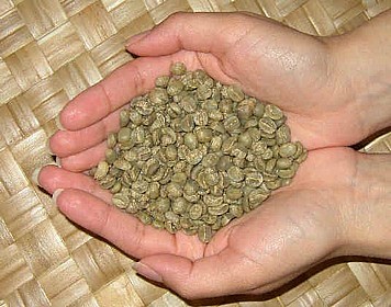 קפה ירוק 100% ערביקה אתיופיה גוג'י נטורל - Ethiopia, Guji Natural קפה ירוק 100% ערביקה אתיופיה גוג'י נטורל - Ethiopia, Guji Natural